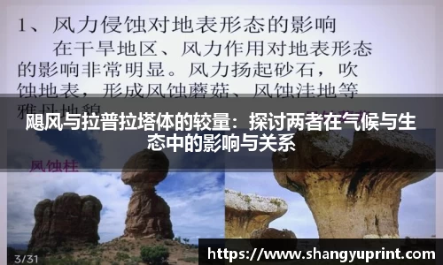 飓风与拉普拉塔体的较量：探讨两者在气候与生态中的影响与关系